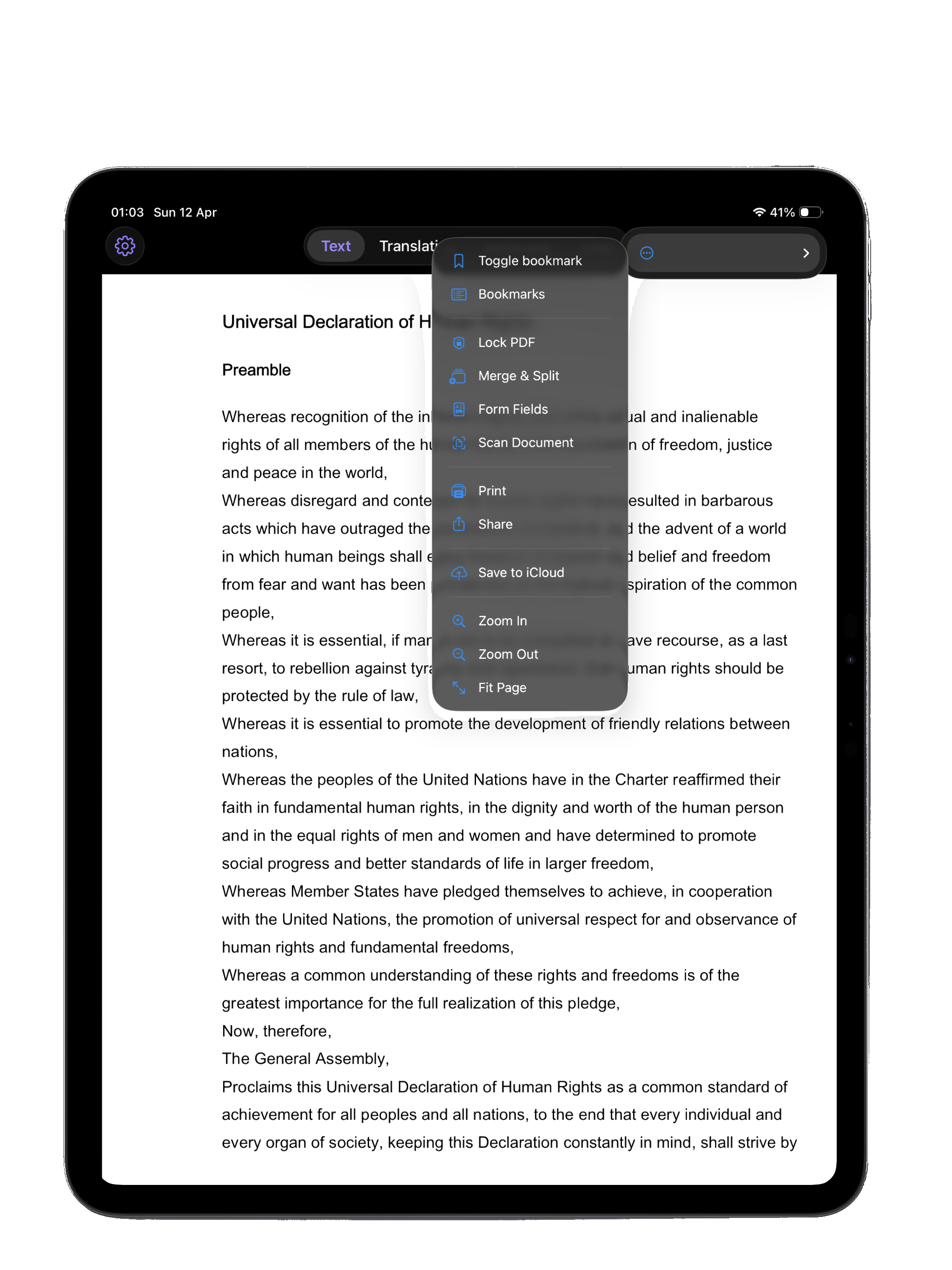 PDF AI Suite on iPad