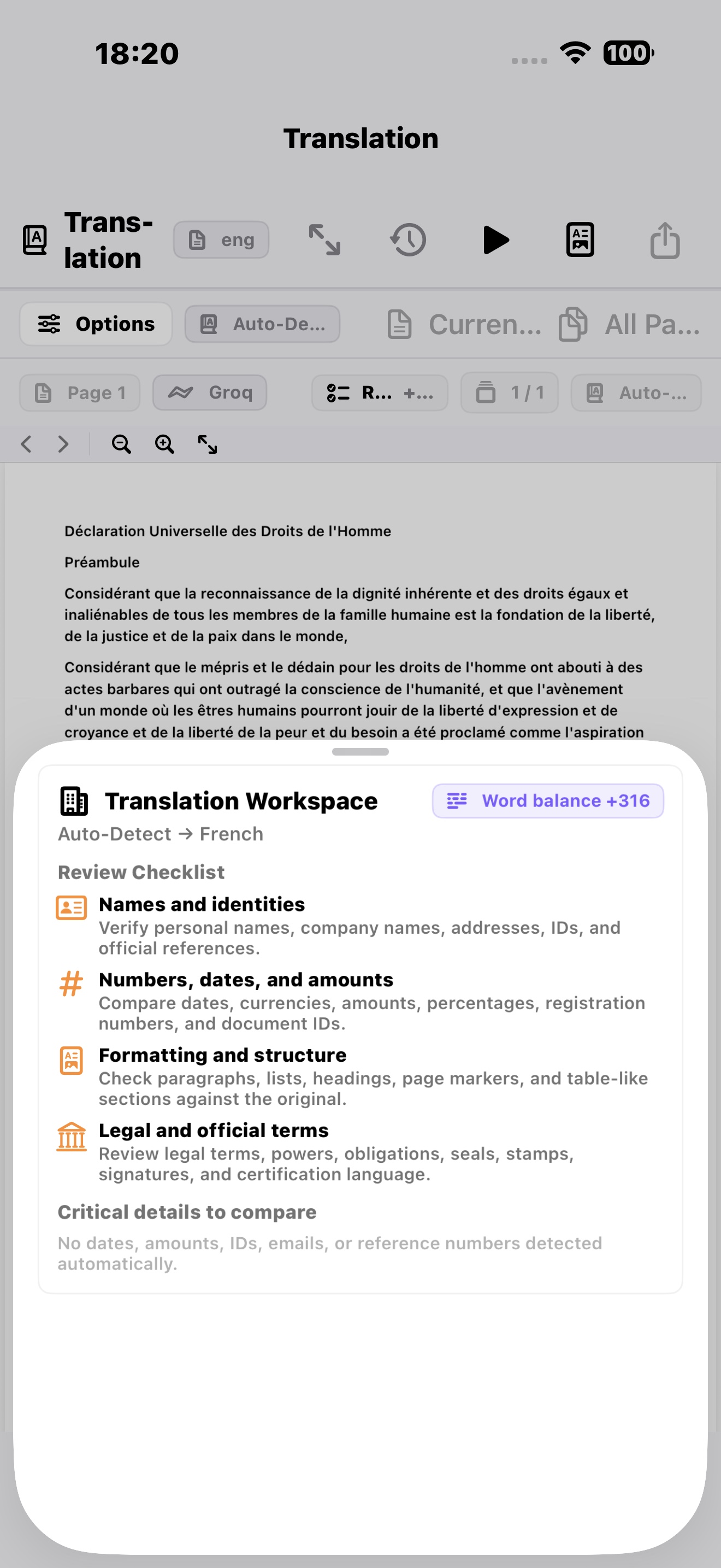 Translation Review checklist on iPhone